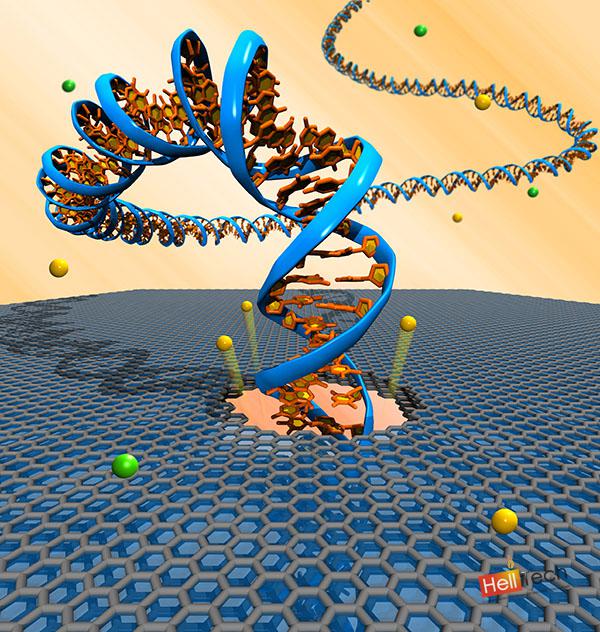 Графеновые наноленты для «чтения» ДНК
